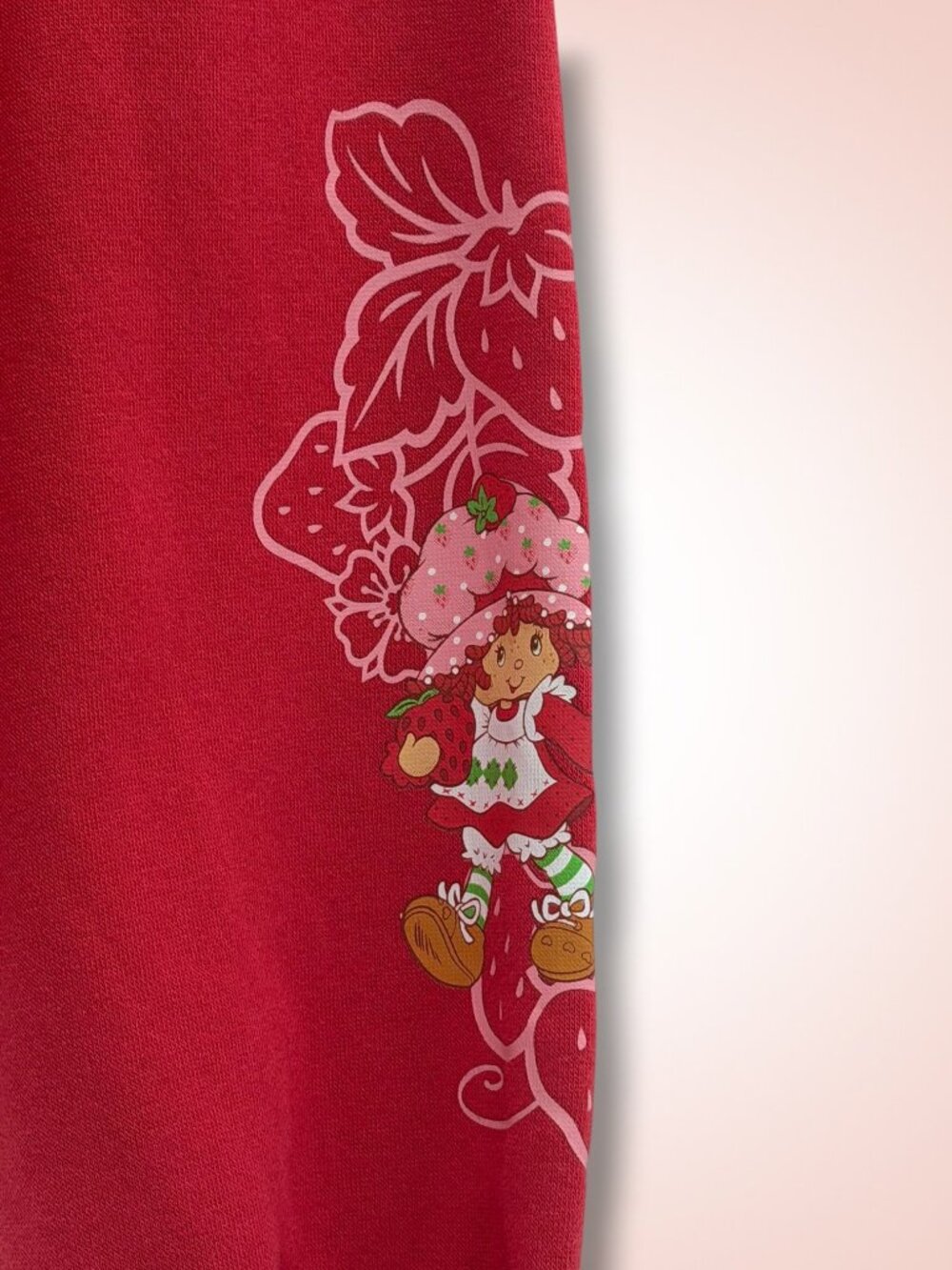 Strawberry Shortcake 2025 Graphic Fleece‎ Lined Sweatshirt XL - Picture 4 of 6